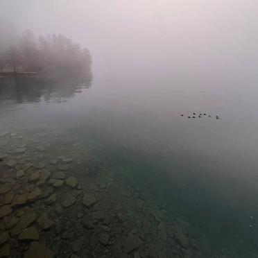 Ein Seeufer im Nebel