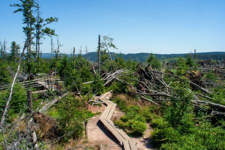 Der Sturm Lothar hinterliess am 26. Dezember 1999 eine Schneise der Zerstörung in Nordfrankreich, der Schweiz, Süddeutschland und Österreich.